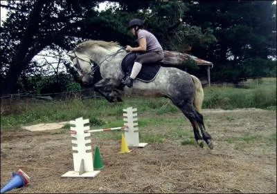 Cette cavalire a-t-elle une bonne position pour sauter ?
