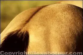 Comment s'appelle cette marque ?