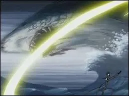 Que fait-il souvent avec Ikki lors des combats ?