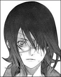 Qui est  intervenu  lors du combat Agito/Rindo vs Orca et s'est fait attaquer ?