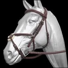 Quelle est cette muserolle ?