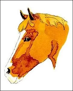 Quelle est cette marque en tte ?