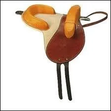 Quelle est cette selle ?