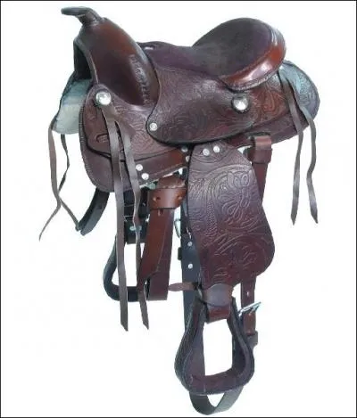 Quelle est cette selle ?
