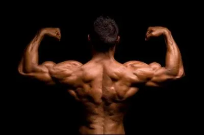 Il a bon dos, dans une comptine entendue dans la  Mlodie du bonheur  :