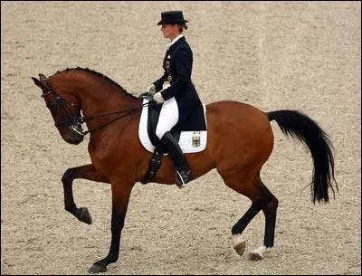 Pour le galop 4 faut-il faire une reprise de dressage :