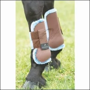 Comment s'appelle cette protection :