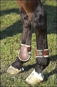 Comment s'appelle cette protection :