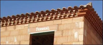 Comment s'appelle cet lment, qui, malgr son nom, ne se mange pas ?