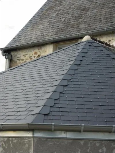 Comment s'appelle cet lment, qui n'a pourtant rien  voir avec le squelette d'un poisson ?