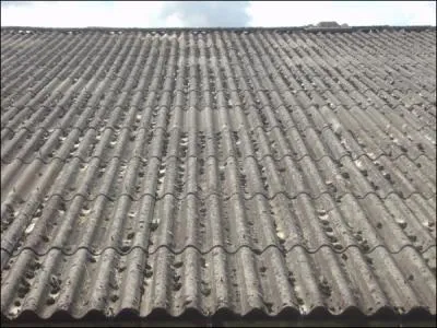 Cette toiture est constitue de ... Esprons que vous n'y sjournerez pas.