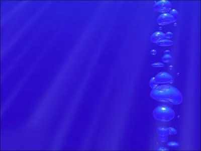 Est-ce que d'autres prises en charge (orthophonie, dentaire, psychologique) peuvent tre pertinentes ?