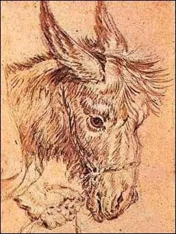 Le bardot est un animal hybride issu de l'accouplement de :