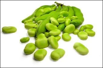 A quelle famille de plantes les fves appartiennent-elles ?