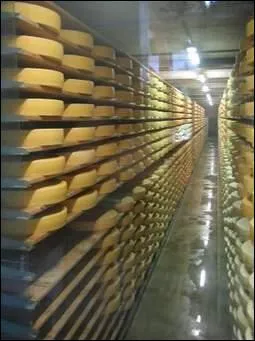 Le gruyre est un fromage...