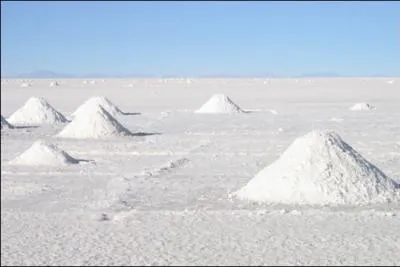 Sant : l'Organisation Mondiale de la Sant (OMS) recommande une consommation de sel infrieure  2 kg par an. Dans quel pays la moyenne annuelle par habitant est-elle de 7 kg ?