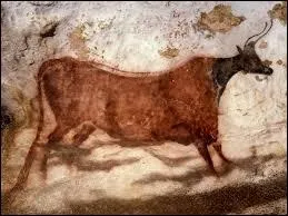 Histoire et vocabulaire : voici une des peintures rupestres dcouvertes en 1940 dans la grotte de Lascaux. Comment peut-on qualifier l'ensemble de ces reprsentations artistiques du Palolithique ?