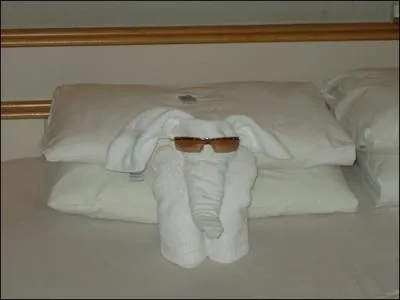 Il ne porte pas le monde sur ses paules, pourtant, dans le rgne animal terrestre, c'est ainsi qu'on pourrait l'appeler !