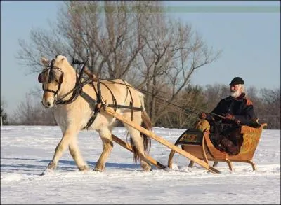 Trouver la rponse  cette photo ne sera pas un problme, mais commencez ds  prsent  vous y ...