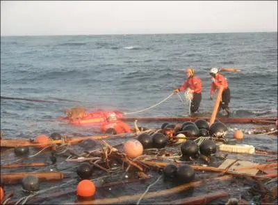 Cette photo mrite bien videmment toute votre ...