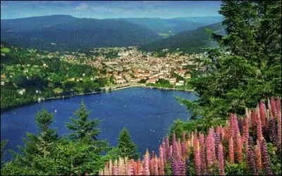 La ville de Grardmer o vous pourrez dguster un pain d'anis ou une tarte aux brimbelles se situe dans le dpartement :