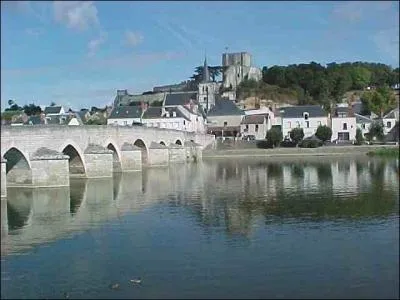 Dans quel dpartement est situe la ville de Montrichard ?