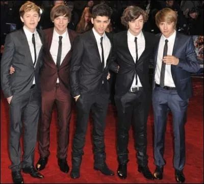 Connaissez-vous les dates du 'One Direction's 2013 World Tour Take Me Home Tour' ?