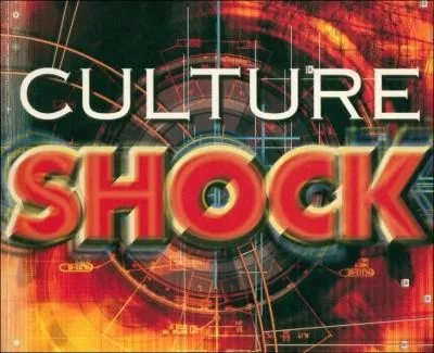 Outre les arts et les lettres, qu'englobe la culture ?