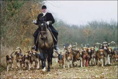 Hlas, la chasse  (... ... ) est toujours autorise en France et je suis d'une famille de grands chasseurs, hlas.