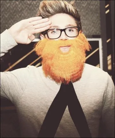 Dans quelle chanson Niall porte-t-il une charlotte ?