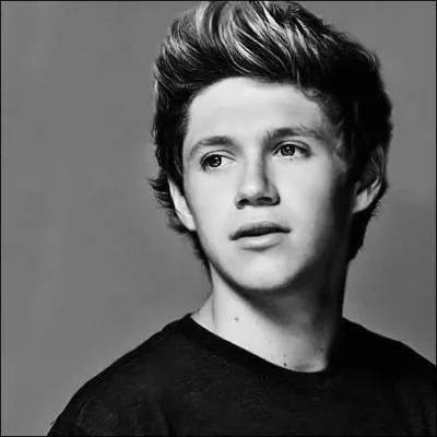 Quelle autre star Niall adore-t-il ?