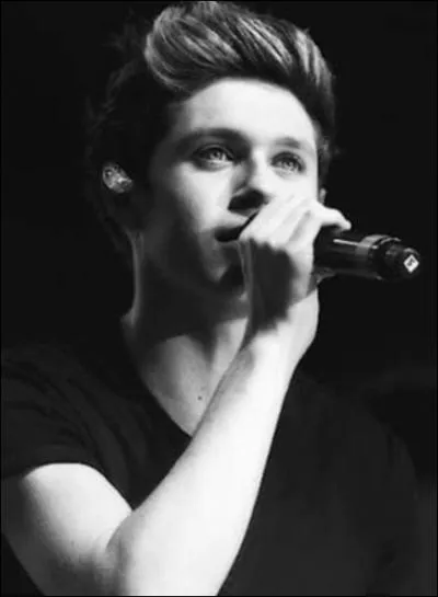 Quelle chanson Niall a-t-il crite pour leur album  Up All Night  ?