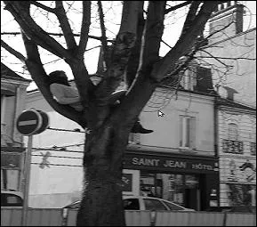 En quoi les militants du collectif  Les dsobissants  ont-ils le droit de se dguiser lors de la plupart de leurs manifestations publiques ?