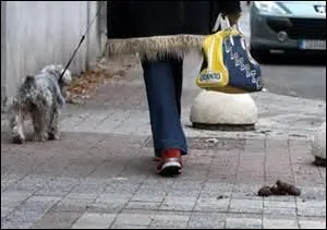 La citoyennet est en crise. Par rapport  quoi cela se dfinit-il ?