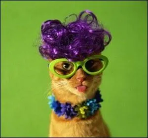 Pour qu'un collier puisse tre appel  rivire , il faut obligatoirement qu'il soit serti de :