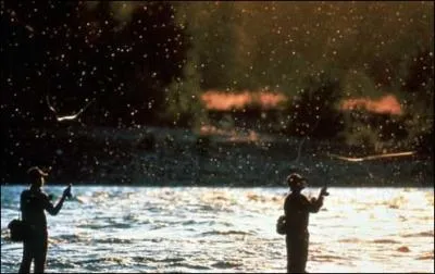 Quel acteur, alors débutant, peut-on voir au générique du film de Robert Redford  Et au milieu coule une rivière  ?