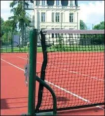 Sur un terrain quip de poteaux et de piquets de simple, un joueur relance une balle qui touche alors un piquet de filet et tombe dans les limites du bon ct du court. La balle est-elle bonne ?