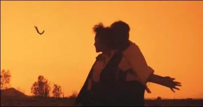 Quel est ce film de Percy Adlon ?