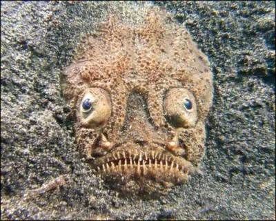 L, c'est un peu gros, il ne faut pas nous prendre pour des idiots !