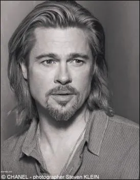 Brad Pitt pour :