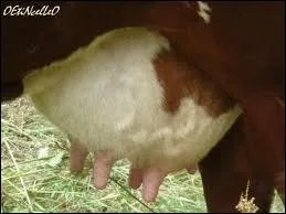 Le mot commence par : Pa ...