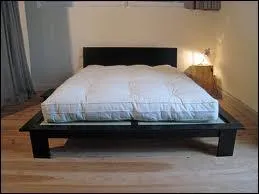 Le mot commence par : Pa ...