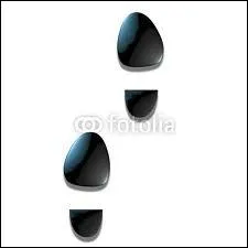 Le mot commence par : Pa ...