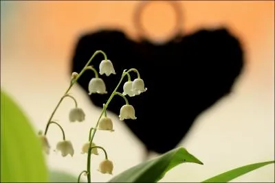 Lorsque vous ftez vos noces de muguet, vous tes maris depuis combien de temps ?