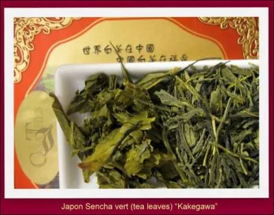 - (... ) par une exubrance indite, elle avait err ce jour-l (... ) dans les rayons pimpants exhibant une (... ) de botes multicolores.