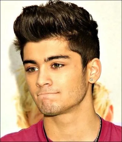 Dans les vido diaries que rptait souvent Zayn ?