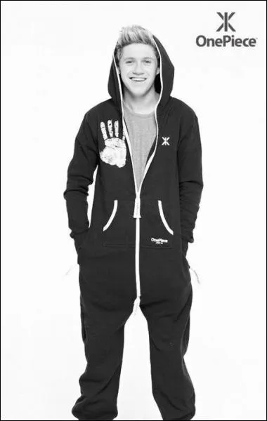 Quelle est la couleur prfre de Niall ?