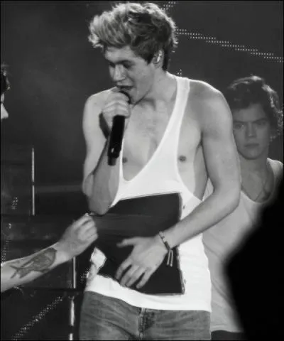 Niall est fan de ...