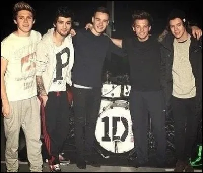 Quelle chanson Ed Sheran a-t-il crite ?