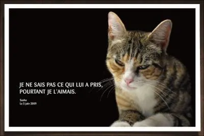 Beaucoup trop frquents, malheureusement !